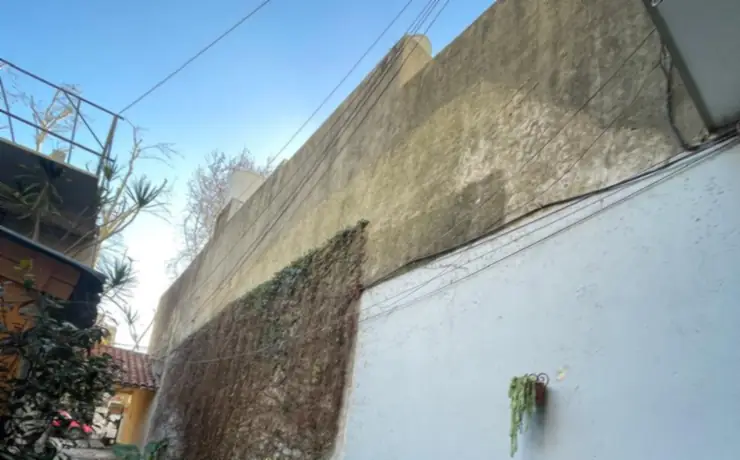 El mismo pasillo con la pared limpia y macetas, después del trabajo