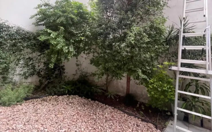 Patio renovado con cantero de canto rodado y plantas nuevas